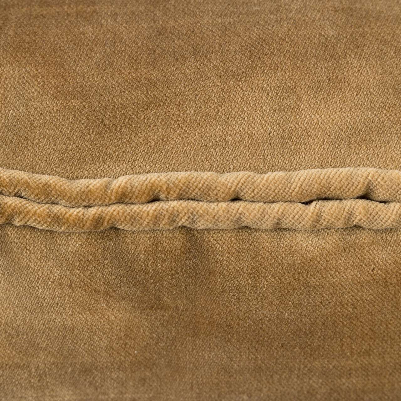 Darcy Double Piped Cushion 43 x 43cm Antique Gold by Scatterbox