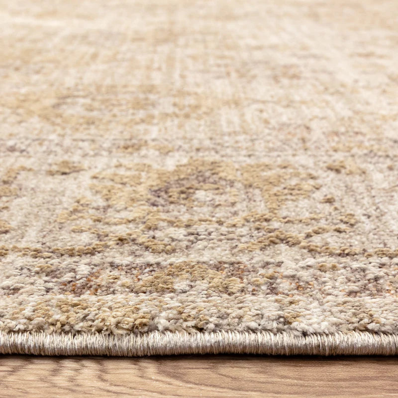 Asiatic Heriz Ornate Beige Rug