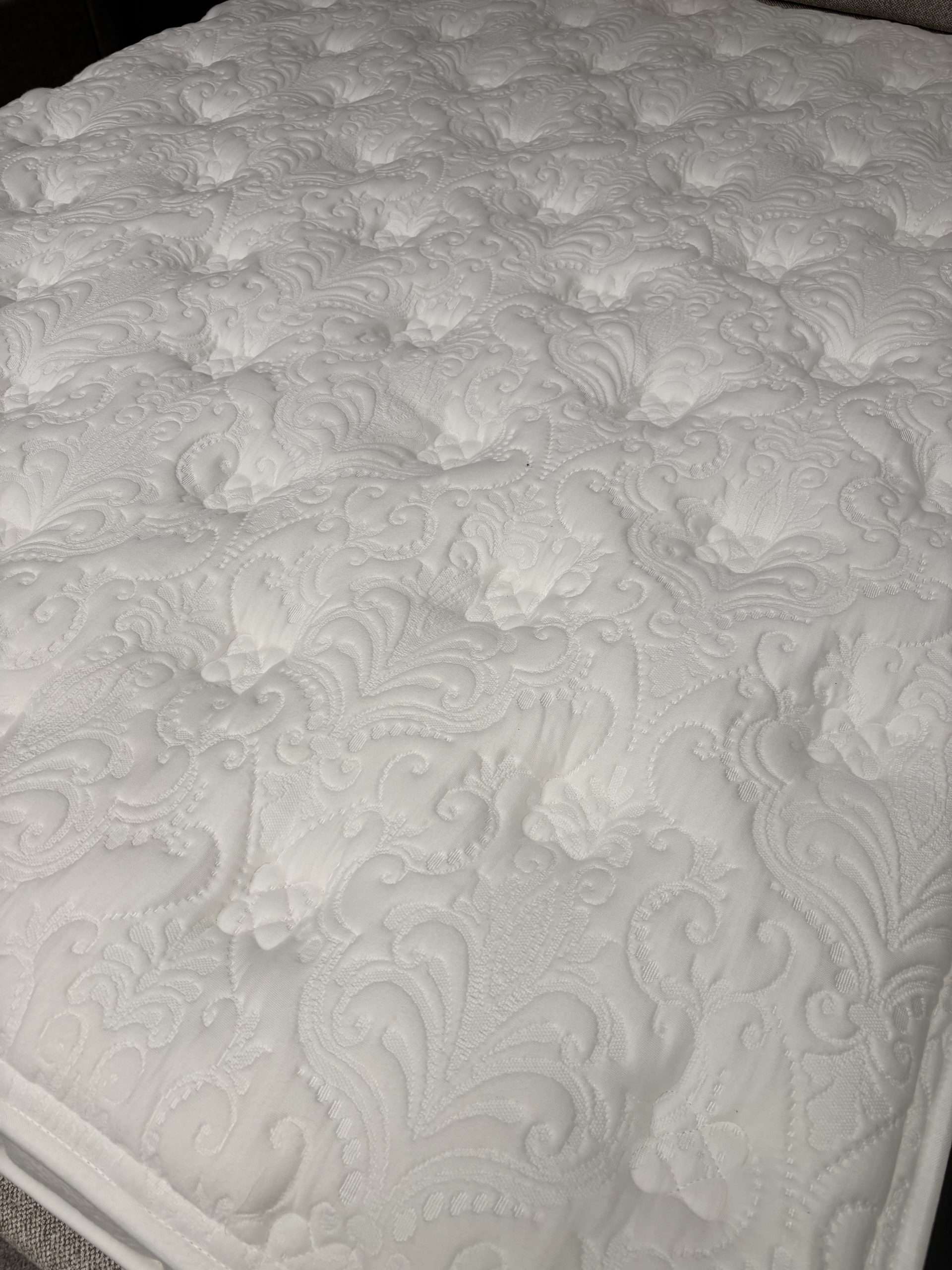 Wellness Cocoon Mattress