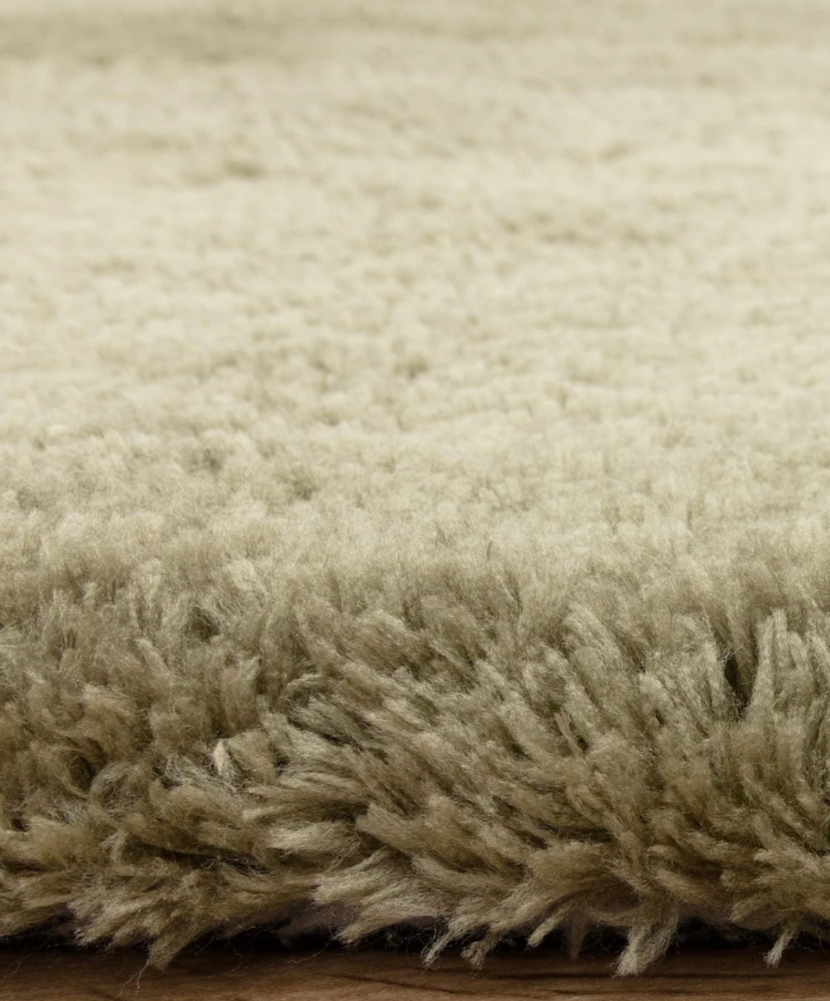 Opulence Sage Rug by Asiatic