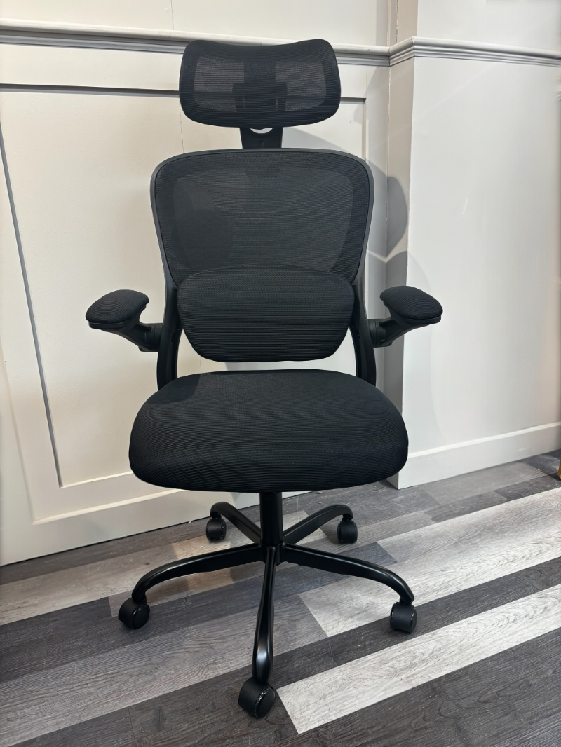 Pro Gaming/Office Chair in Black
