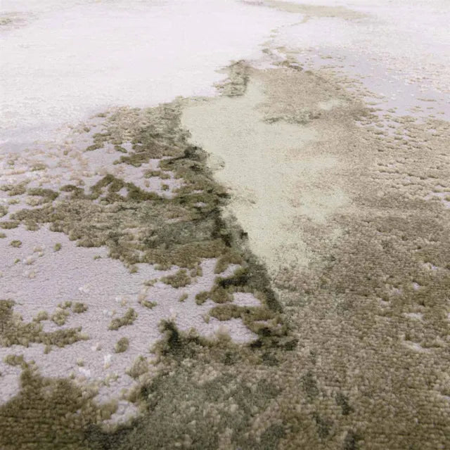 Stellar Rug ST04 by Asiatic