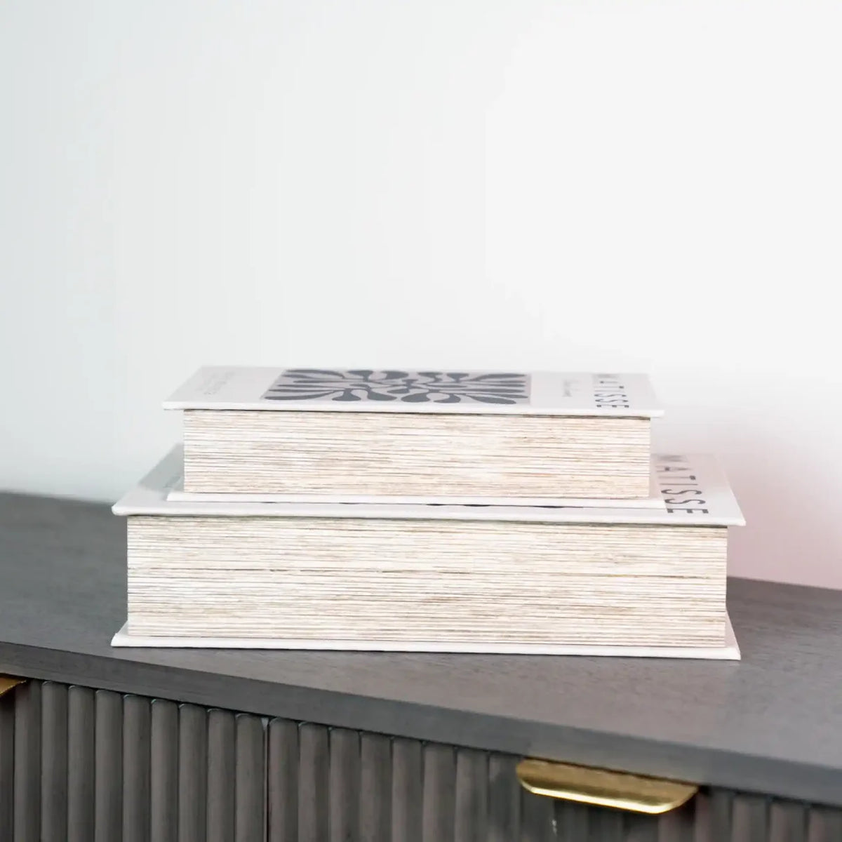 Matisse Box Set of 2 Storage Books