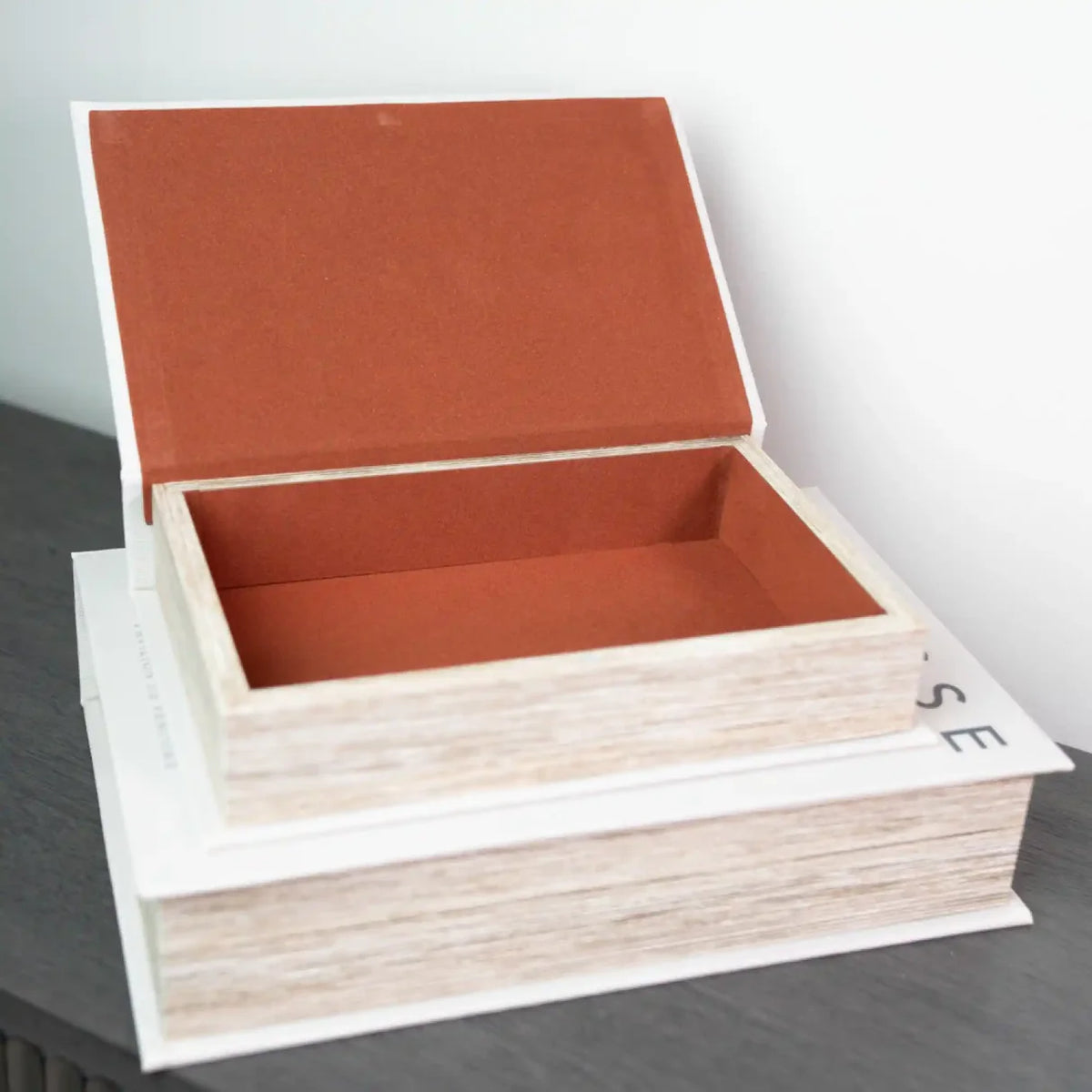 Matisse Box Set of 2 Storage Books